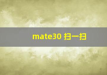 mate30 扫一扫